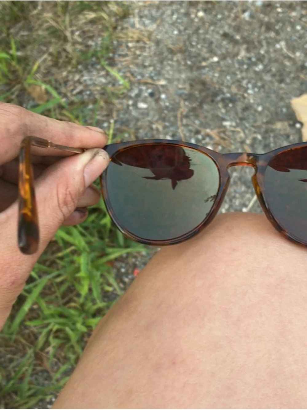 Maui Jim Tortoise Frame Sunglasses with Green Mirrored Lenses